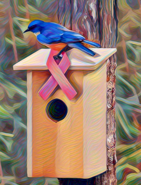 Bluebird Box Bash for Delaware Breast Cancer Coalition's 'Nurture with Nature' program.